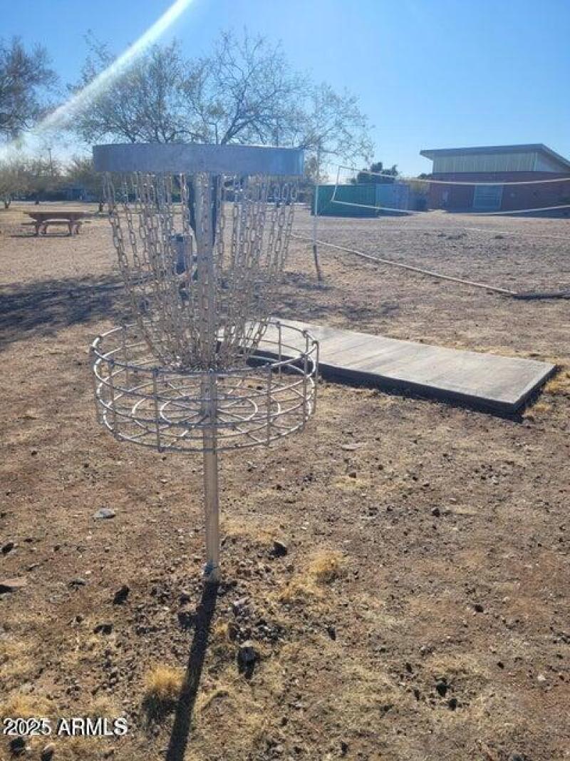 Frisbee Golf