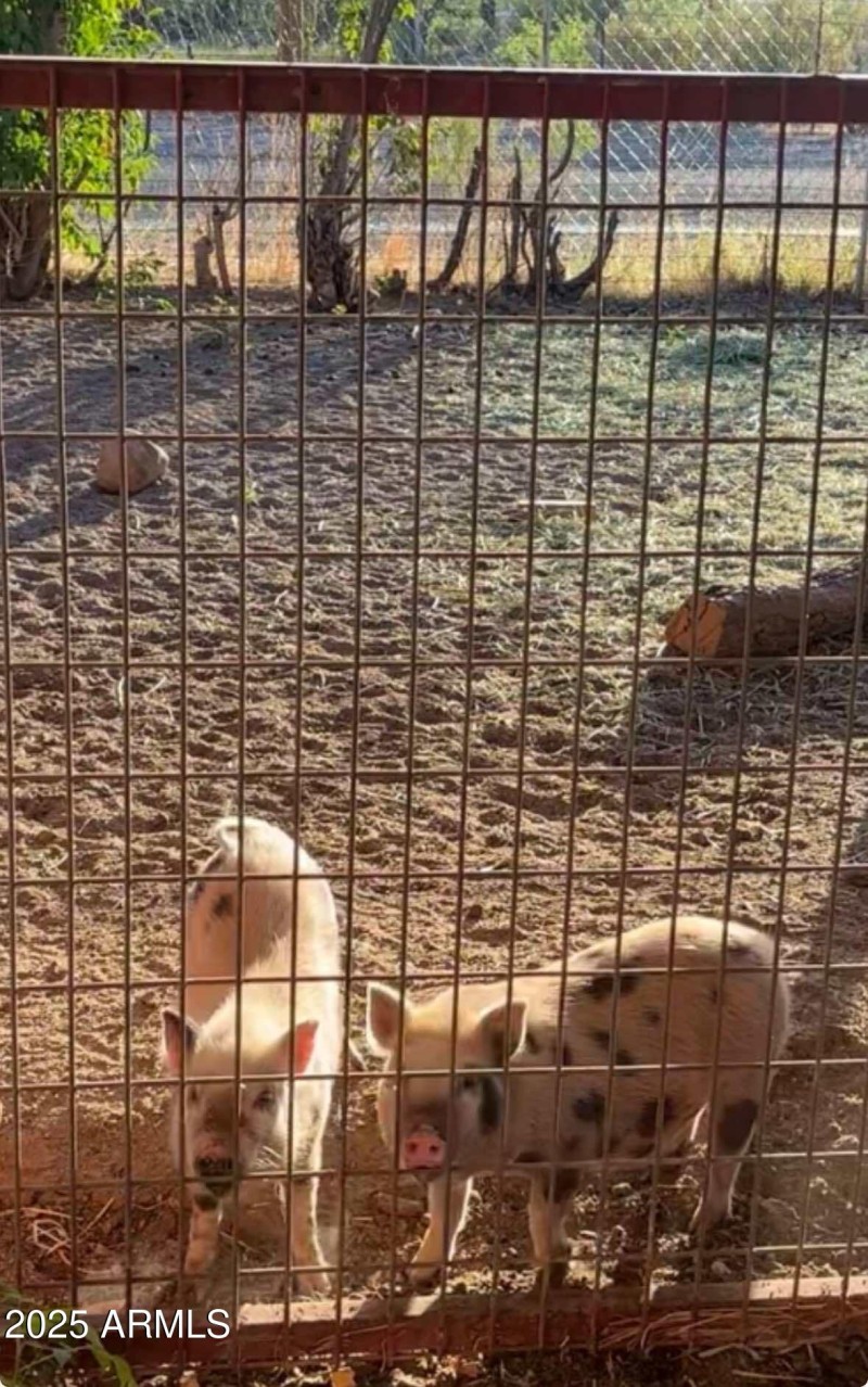 543359367_1156899279660923_4621124616576