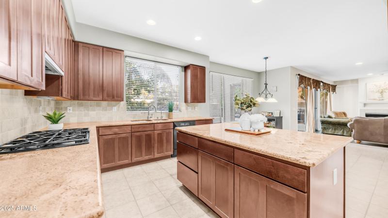 1951 W Bartlett Ct (16)