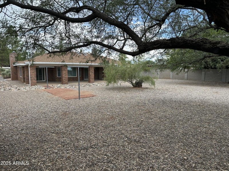 Backyard 4