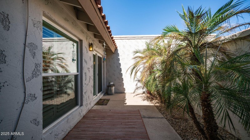 Back patio