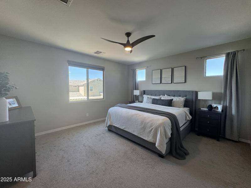 Primary Bedroom with Natural Light