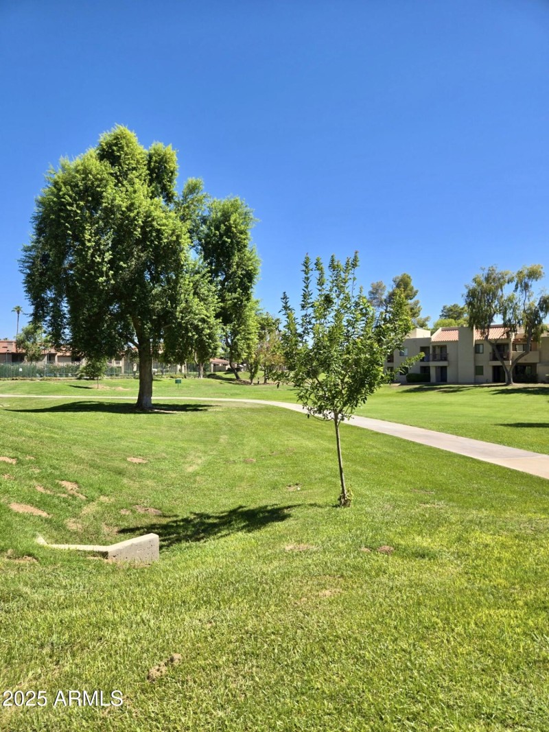 Grassy area