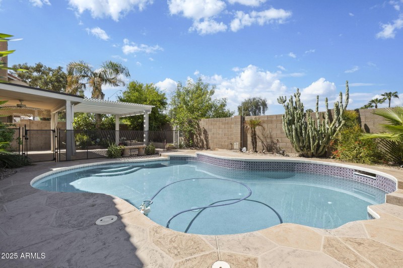 Backyard Pool View