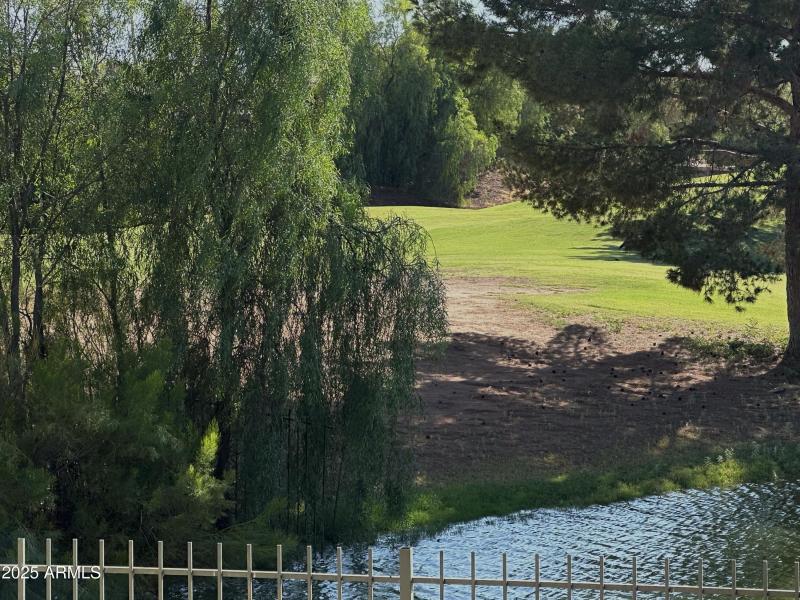 Golf Course and Lake view