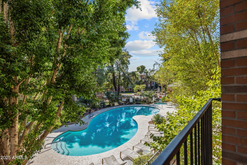 View from Your Patio