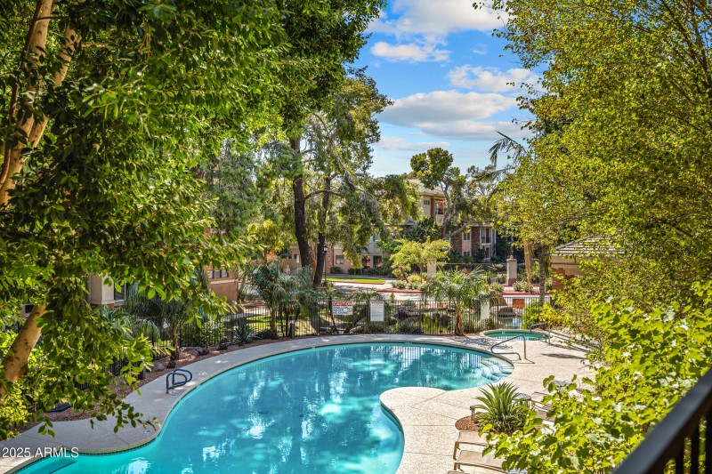 View from Your Patio