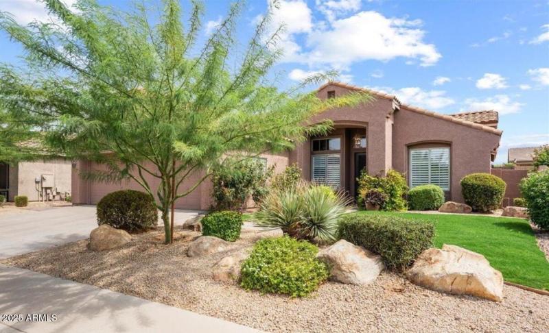 Quiet Street Close to Desert Ridge