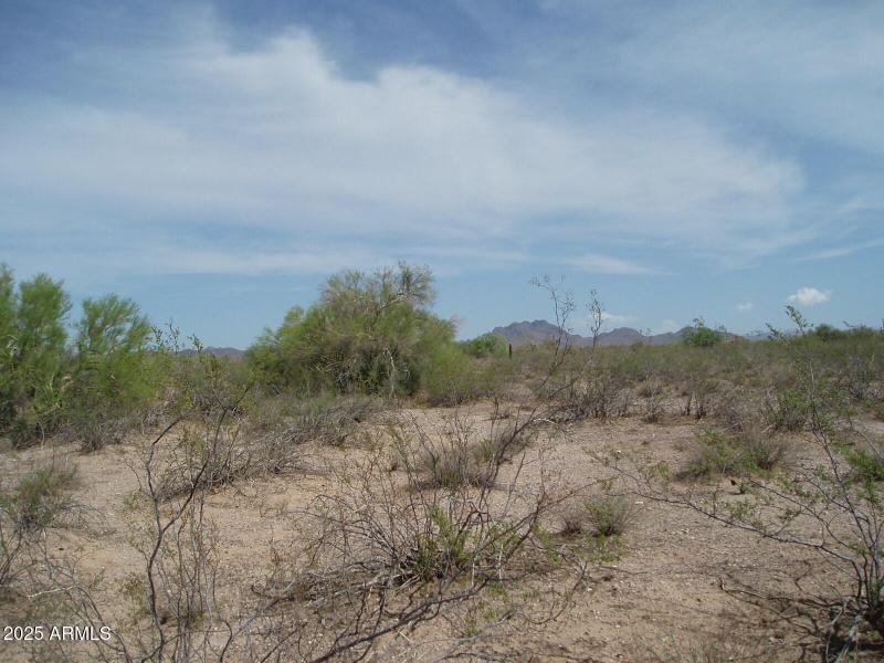 P9170004
