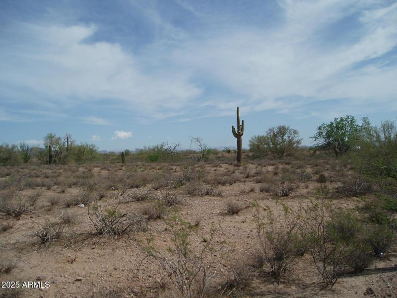 P9170007