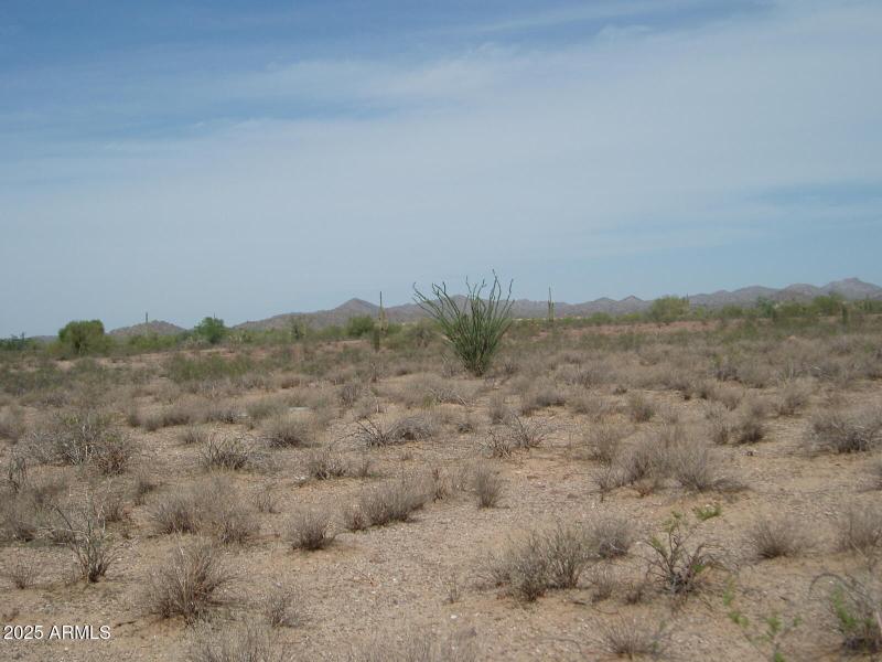 P9170010