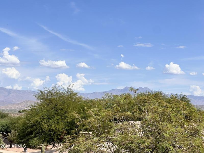 Four Peaks Views