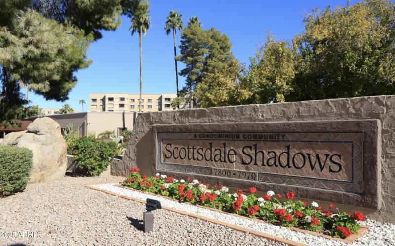 Screen Shot 2025-09-17 at 3.42.49 PM