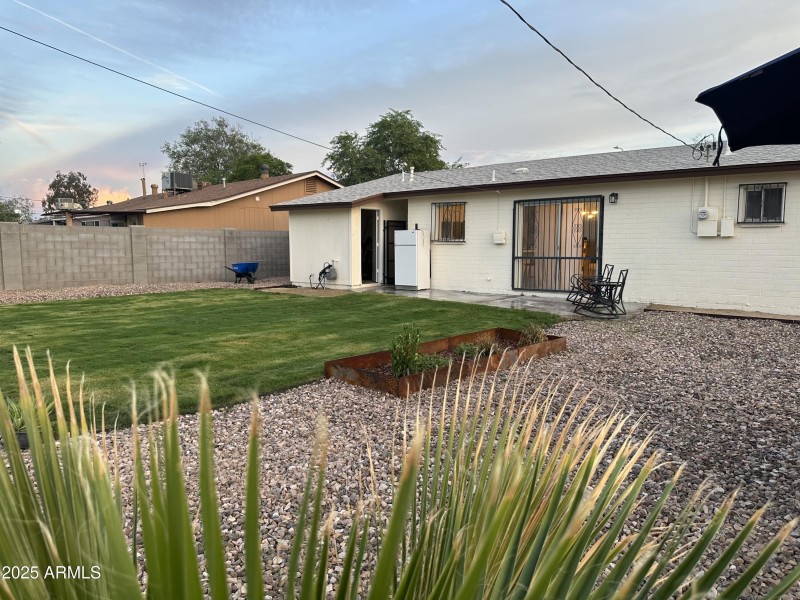 Backyard 1