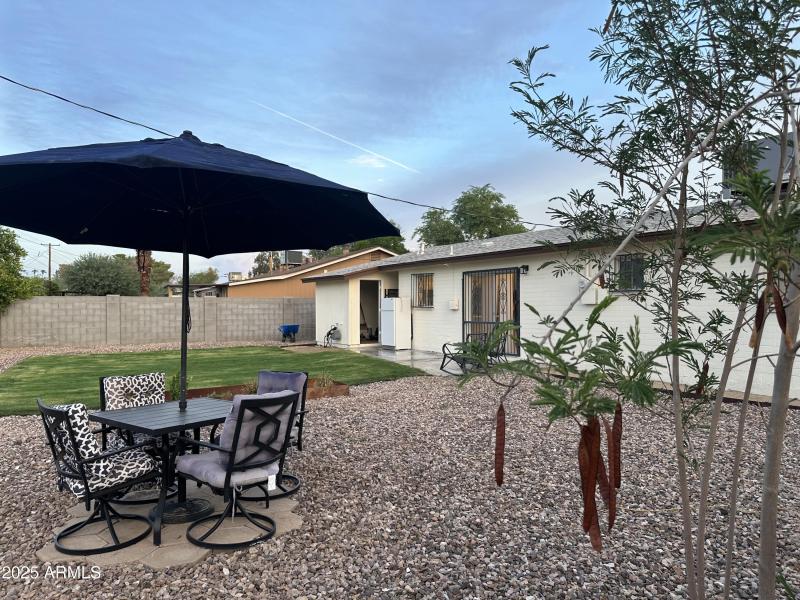 Backyard 3