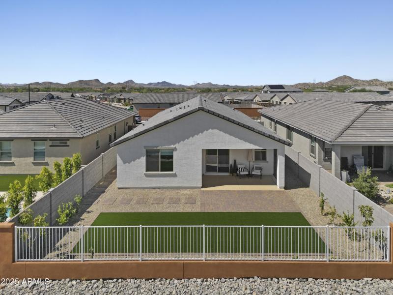 Backyard Turf