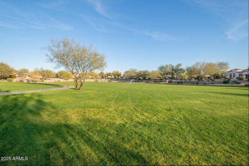 Park Grassy