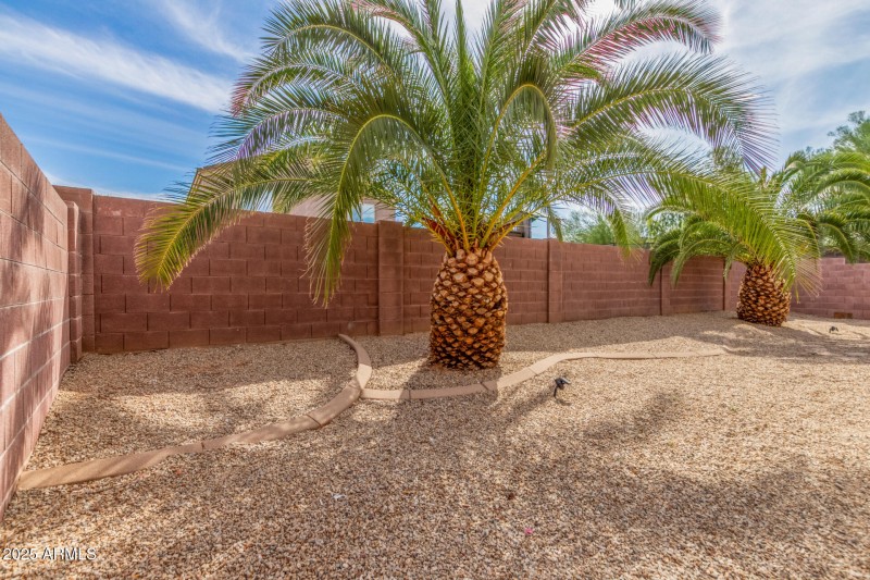 Nice shady Palms!