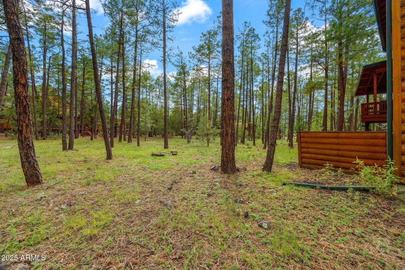 1057LakeShoreDr-PinetopLakeside-AZ-31