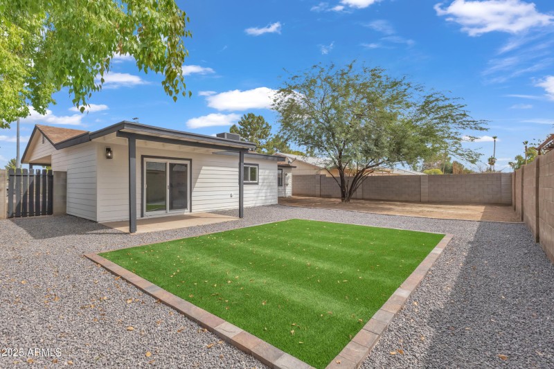 Backyard