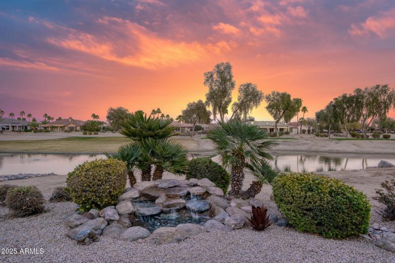 BackyardDesertLandscape