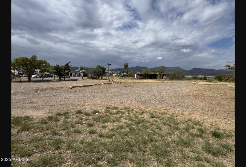 IMG_7619.JPG (4032×3024)