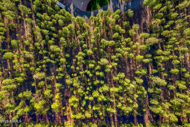 Drone Property