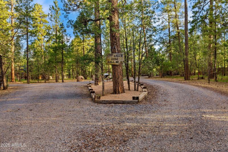 Split Driveway