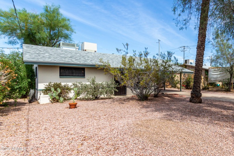 04 - Orangewood