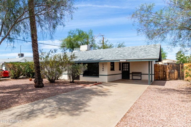 06 - Orangewood