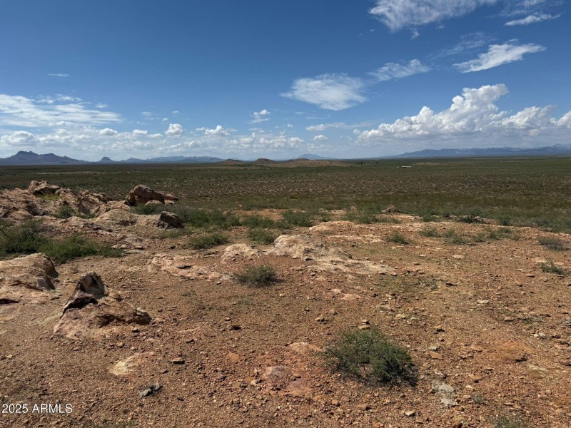 96f0521b-c176-4e04-b2cd-f991385bde0d 2