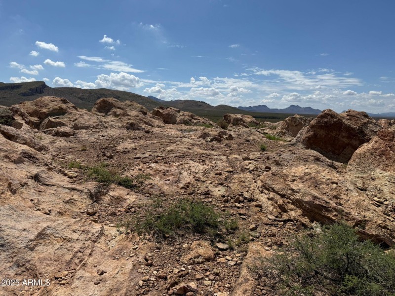 968c7c38-006c-455f-8575-06a9c75e4daa 2