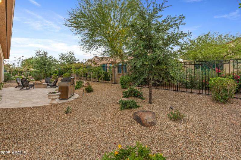26647 W Covey Ln Updated Yard-4
