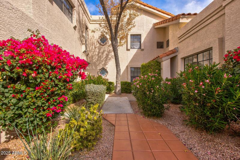 Front Walkway