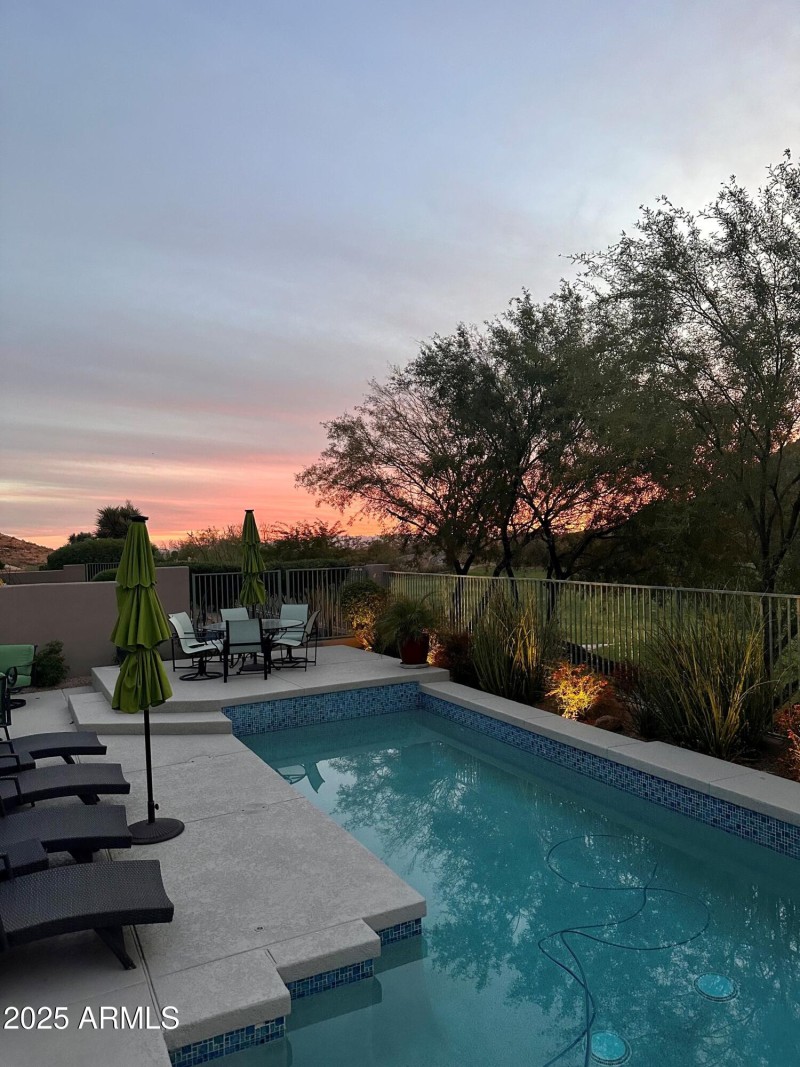 backyard 1