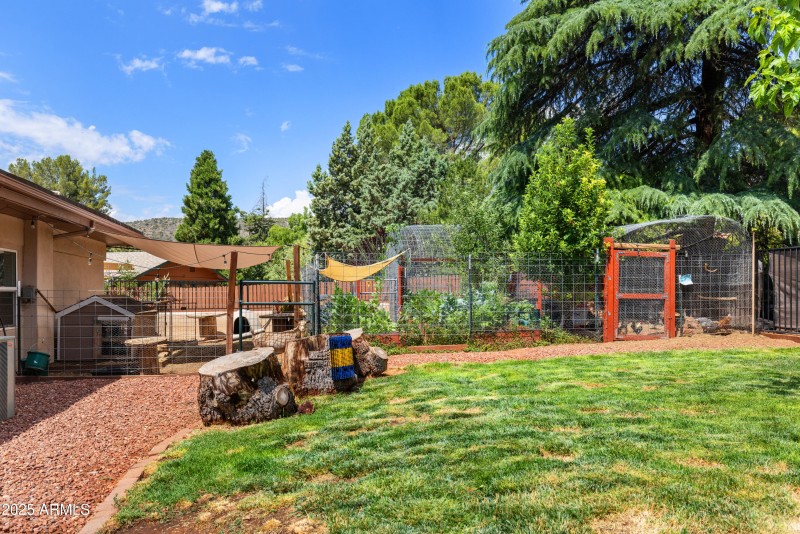 54-Backyard