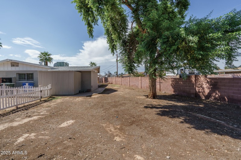 21) BACKYARD
