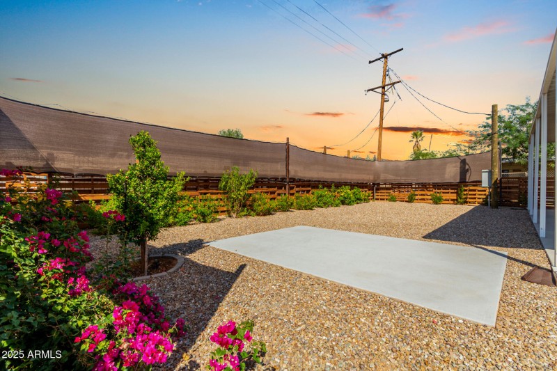 Backyard