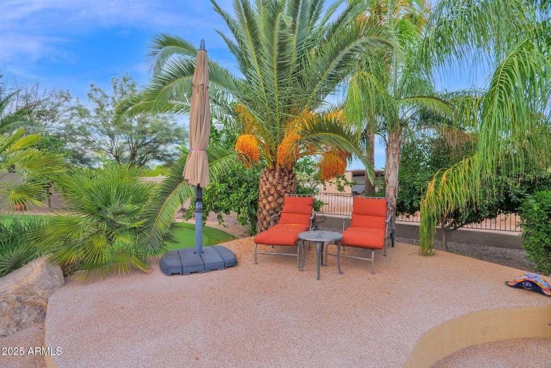 Little Tropics in AZ