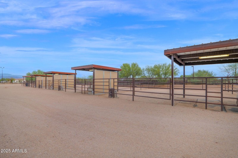 83-web-or-mls-P1303426