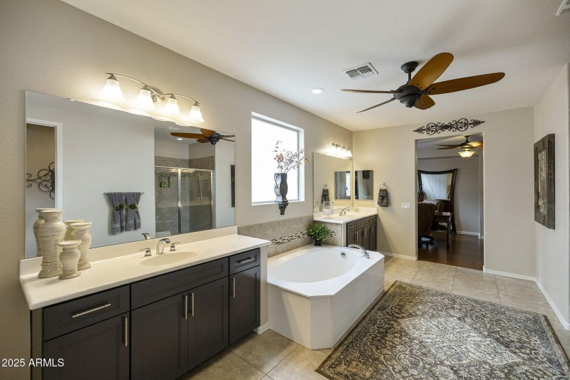 Owner's Bathroom