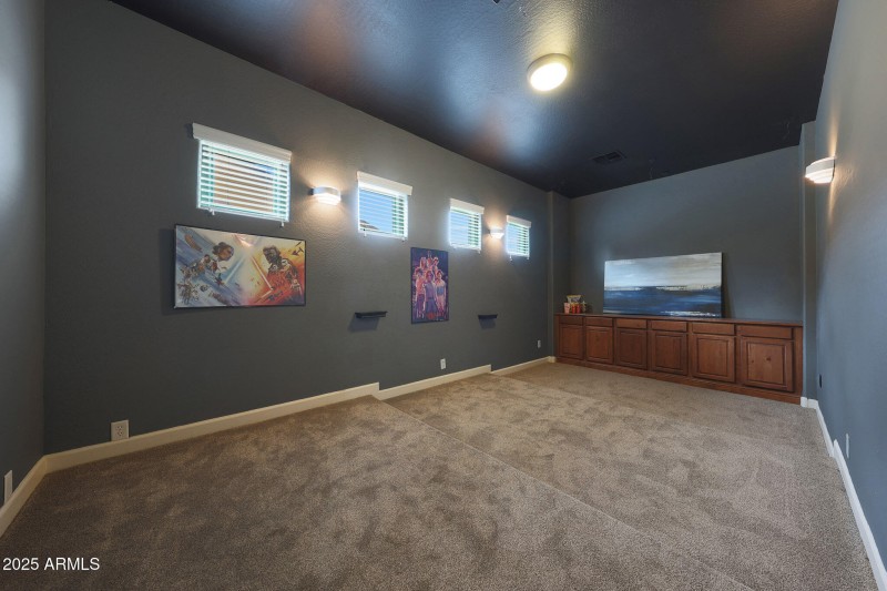 Theater room