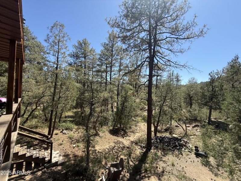 Views from lower deck