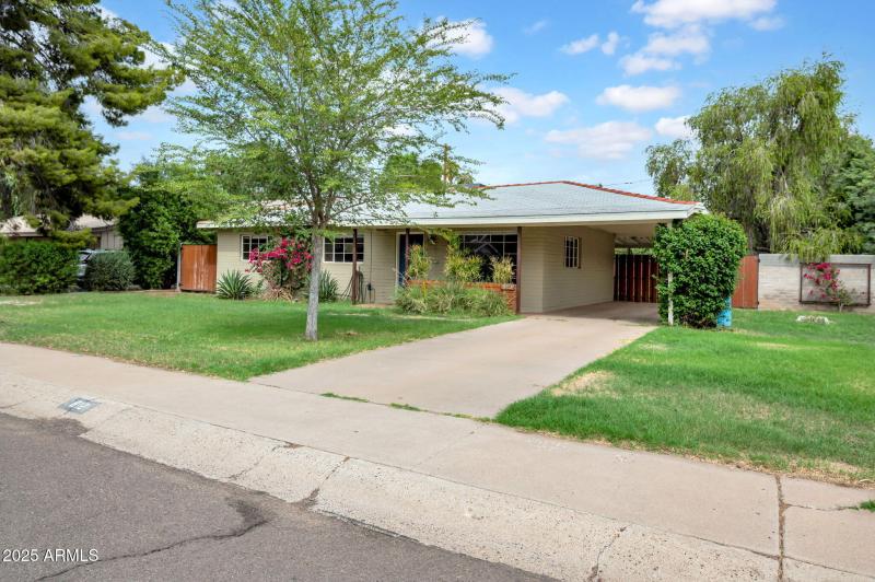 large side yard