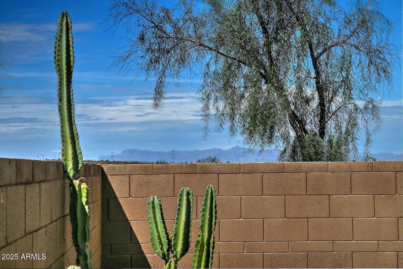 6808 W Mockingbird Wy Florence-large-022