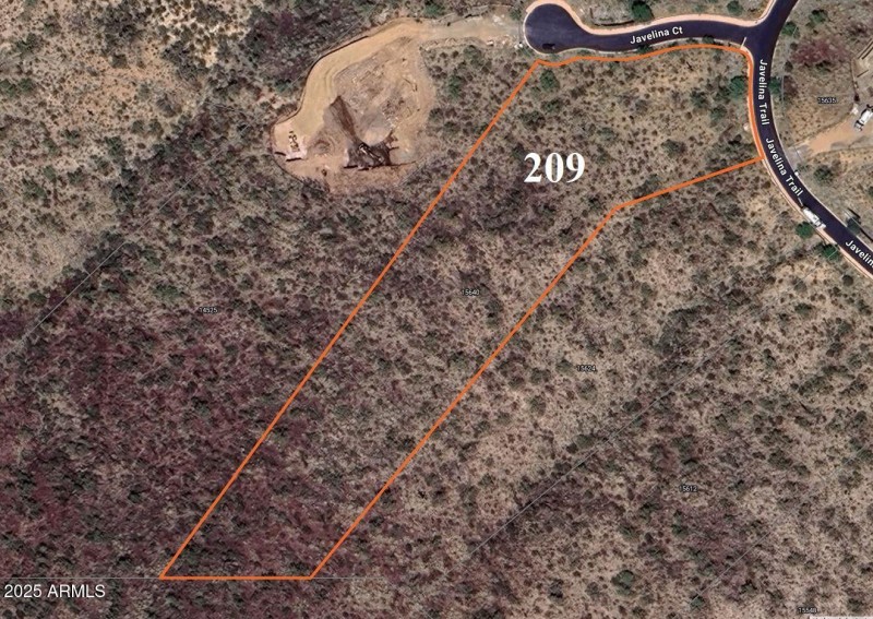 Lot 209