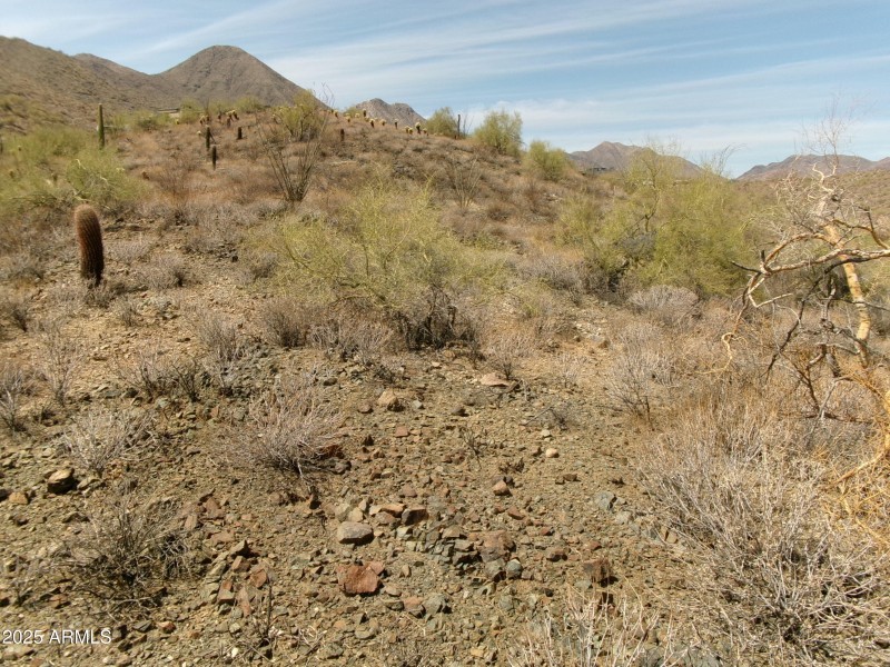 Landscape lot 225