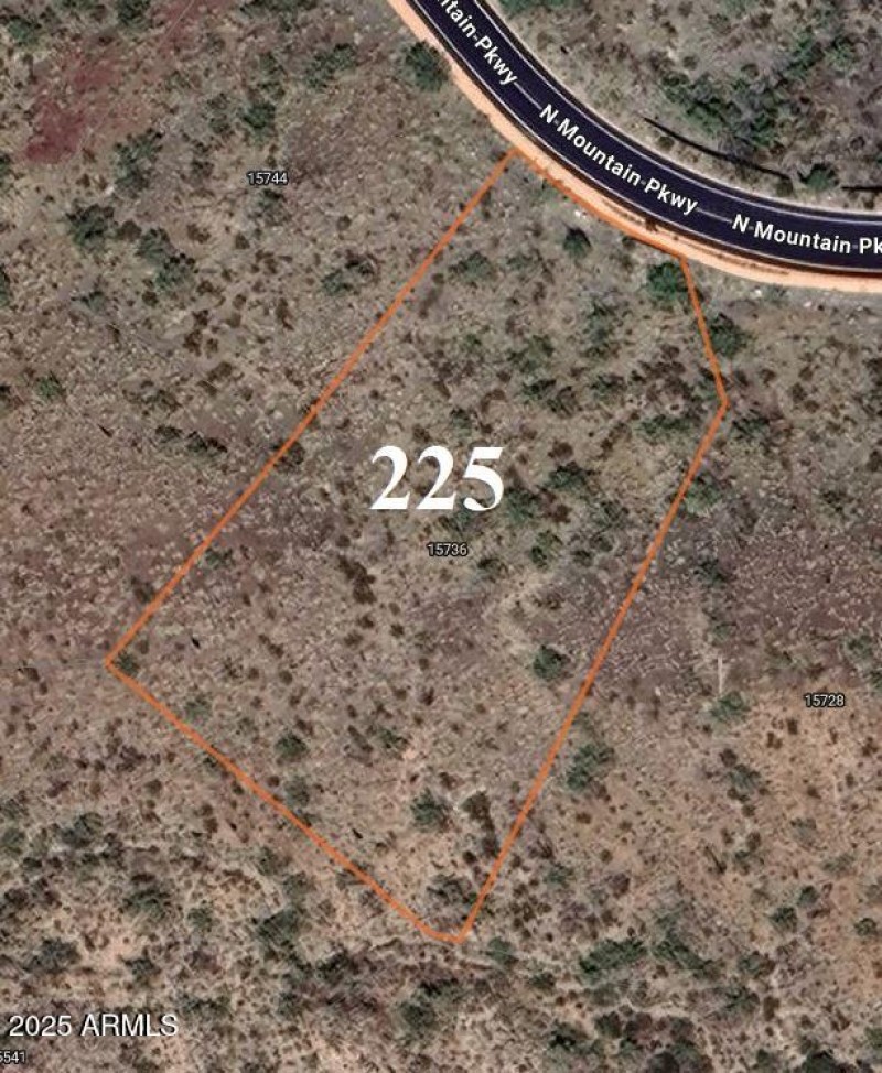 Lot 225