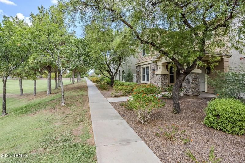 large-019963ae-acdc-7004-97de-cd518e5b7c