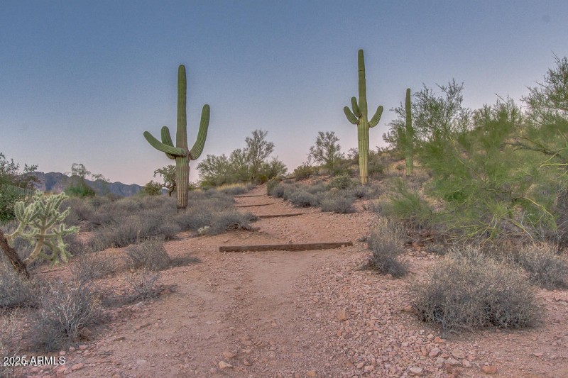 15_Walking Trails_Superstition Foothills
